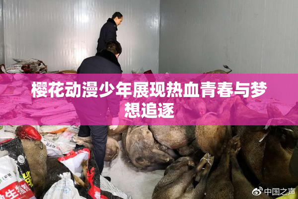 樱花动漫少年展现热血青春与梦想追逐