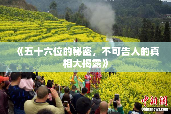 《五十六位的秘密，不可告人的真相大揭露》