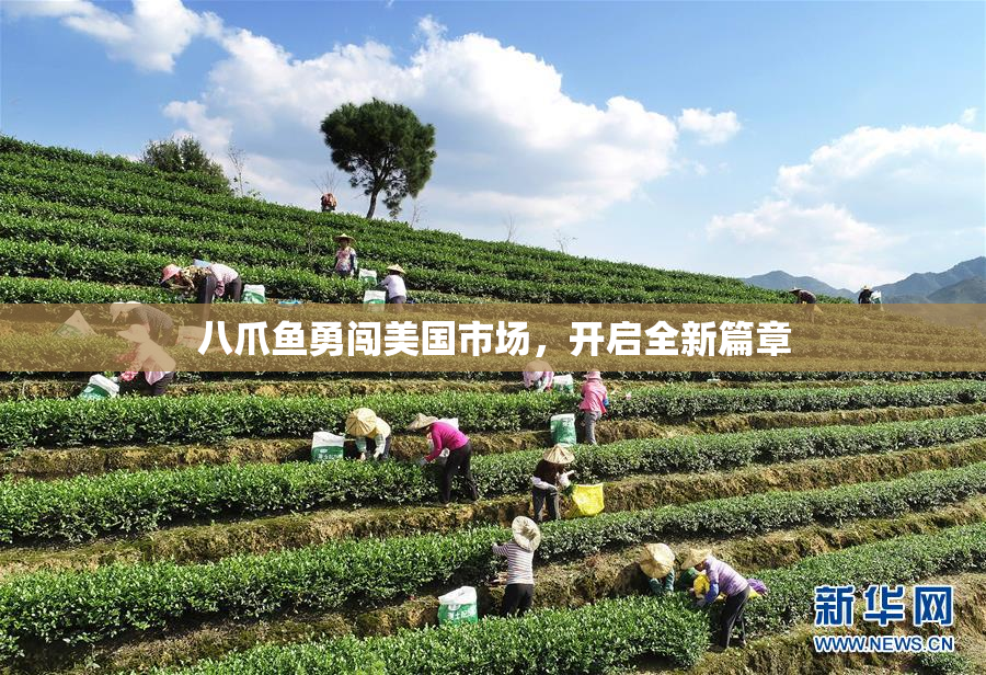 八爪鱼勇闯美国市场，开启全新篇章