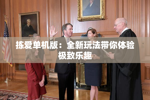 拣爱单机版：全新玩法带你体验极致乐趣