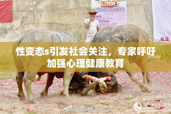 性变态s引发社会关注，专家呼吁加强心理健康教育