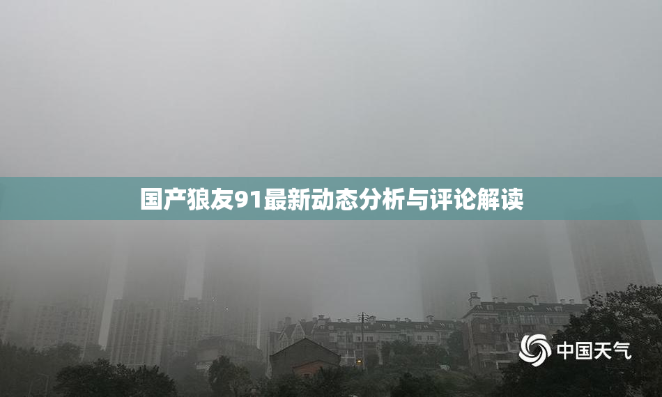 国产狼友91最新动态分析与评论解读