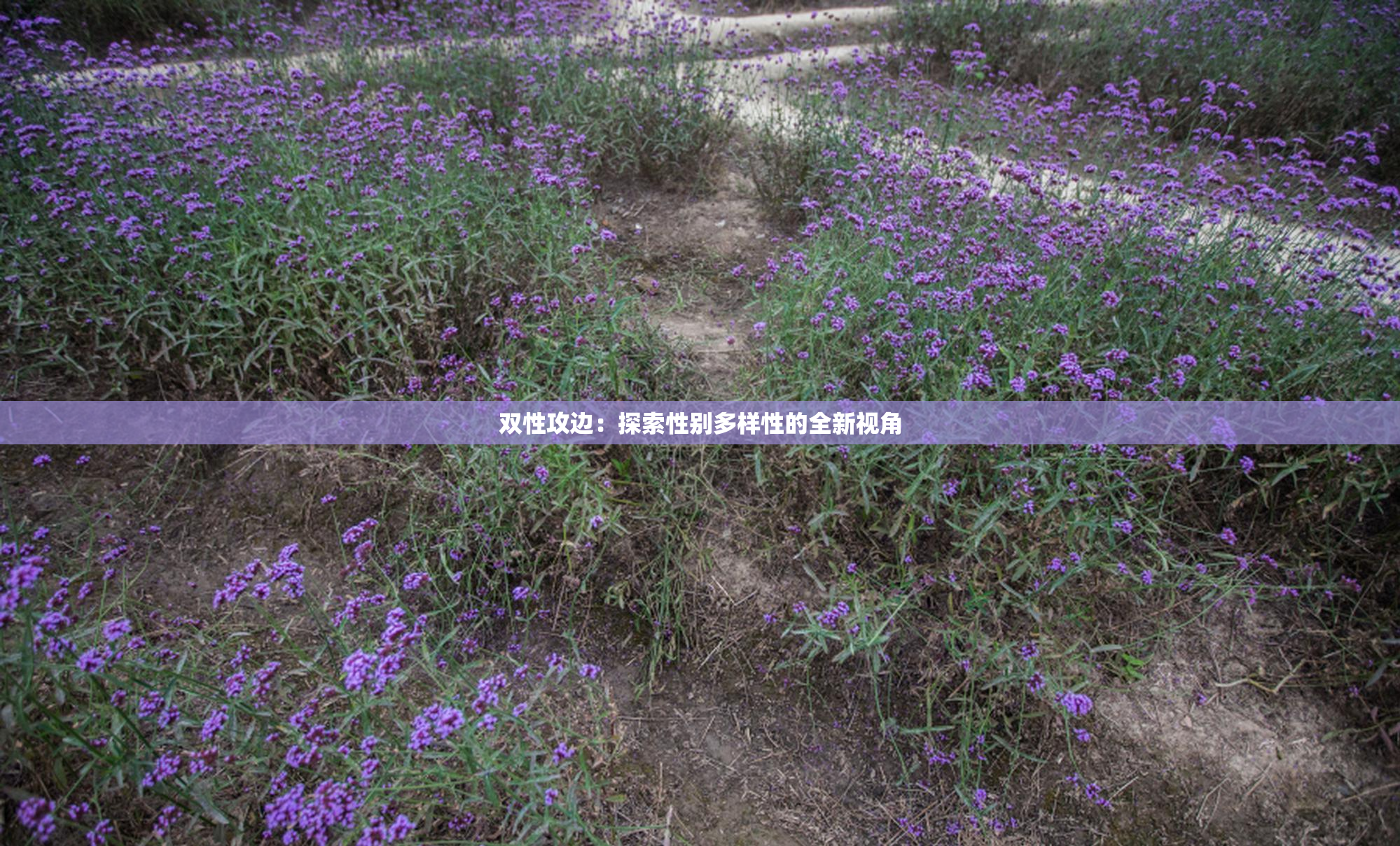 双性攻边：探索性别多样性的全新视角