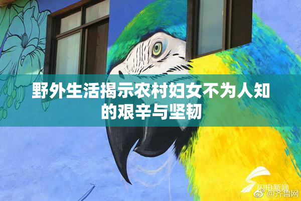 野外生活揭示农村妇女不为人知的艰辛与坚韧