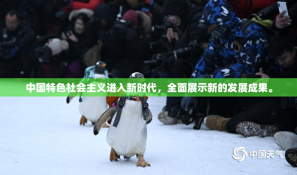 中国特色社会主义进入新时代，全面展示新的发展成果。