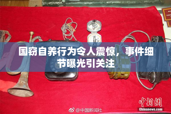 国窃自养行为令人震惊，事件细节曝光引关注
