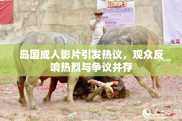 岛国成人影片引发热议，观众反响热烈与争议并存