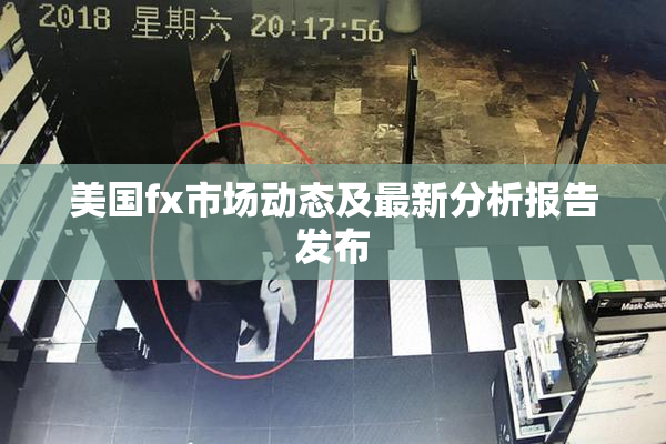 美国fx市场动态及最新分析报告发布