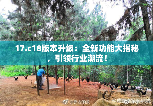17.c18版本升级：全新功能大揭秘，引领行业潮流！