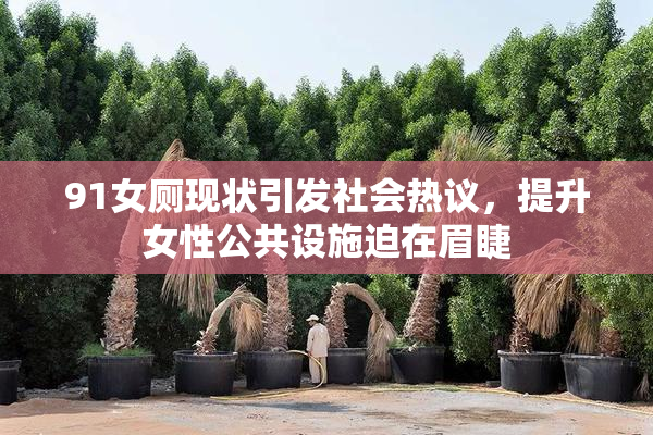 91女厕现状引发社会热议，提升女性公共设施迫在眉睫