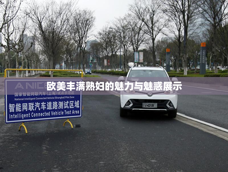 欧美丰满熟妇的魅力与魅惑展示