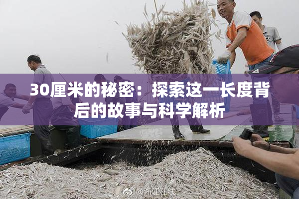 30厘米的秘密：探索这一长度背后的故事与科学解析