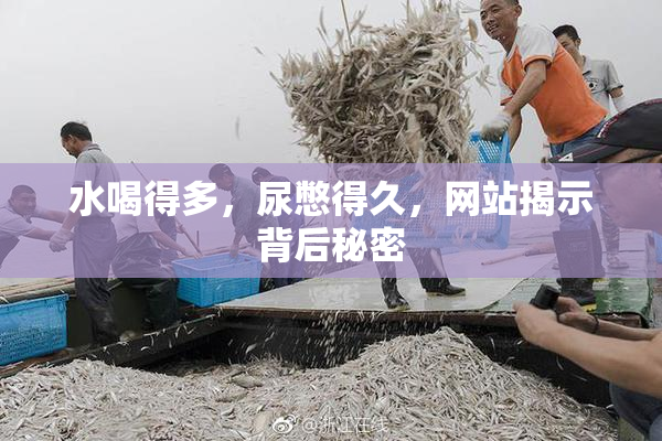 水喝得多，尿憋得久，网站揭示背后秘密