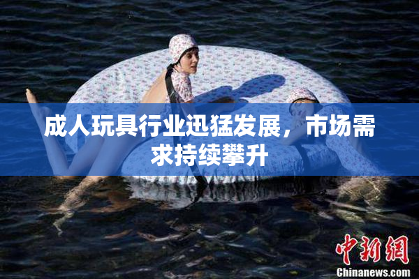 成人玩具行业迅猛发展，市场需求持续攀升