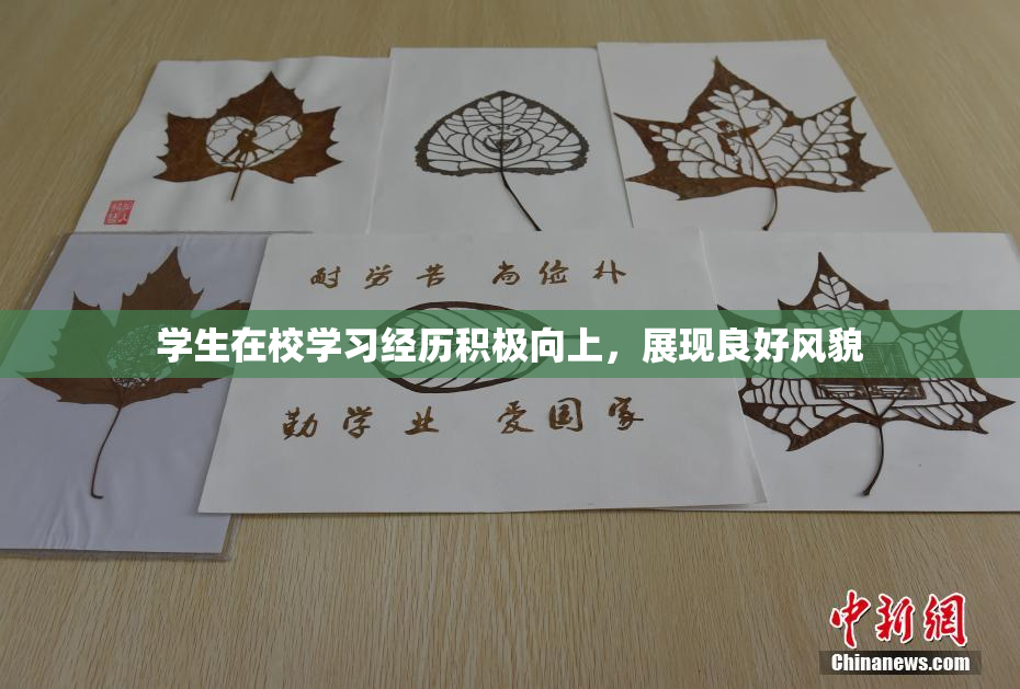 学生在校学习经历积极向上，展现良好风貌