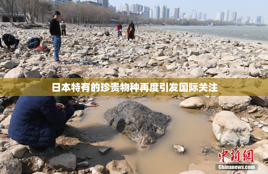 日本特有的珍贵物种再度引发国际关注