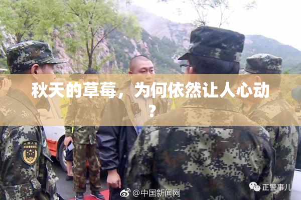 秋天的草莓，为何依然让人心动？