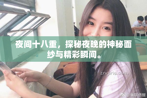 夜间十八重，探秘夜晚的神秘面纱与精彩瞬间。