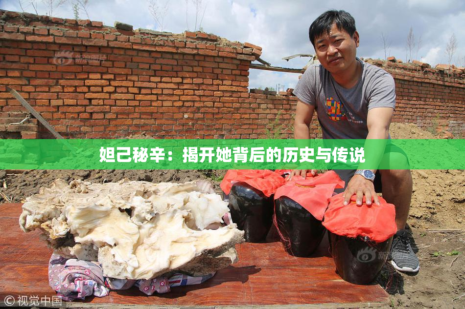妲己秘辛：揭开她背后的历史与传说