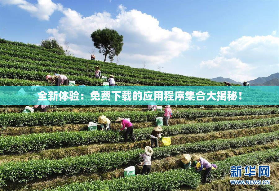 全新体验：免费下载的应用程序集合大揭秘！