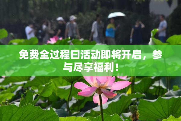 免费全过程曰活动即将开启，参与尽享福利！