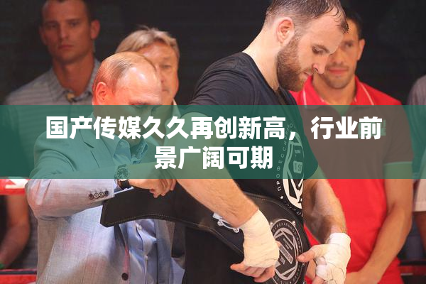 国产传媒久久再创新高，行业前景广阔可期