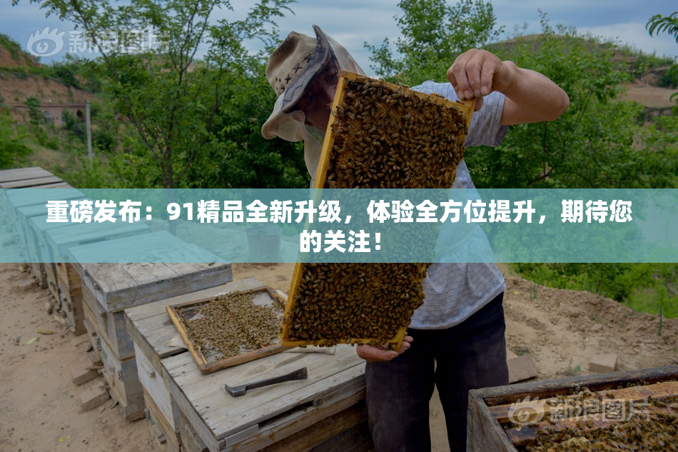 重磅发布：91精品全新升级，体验全方位提升，期待您的关注！