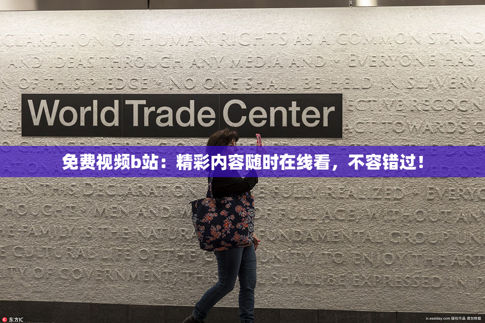 免费视频b站：精彩内容随时在线看，不容错过！