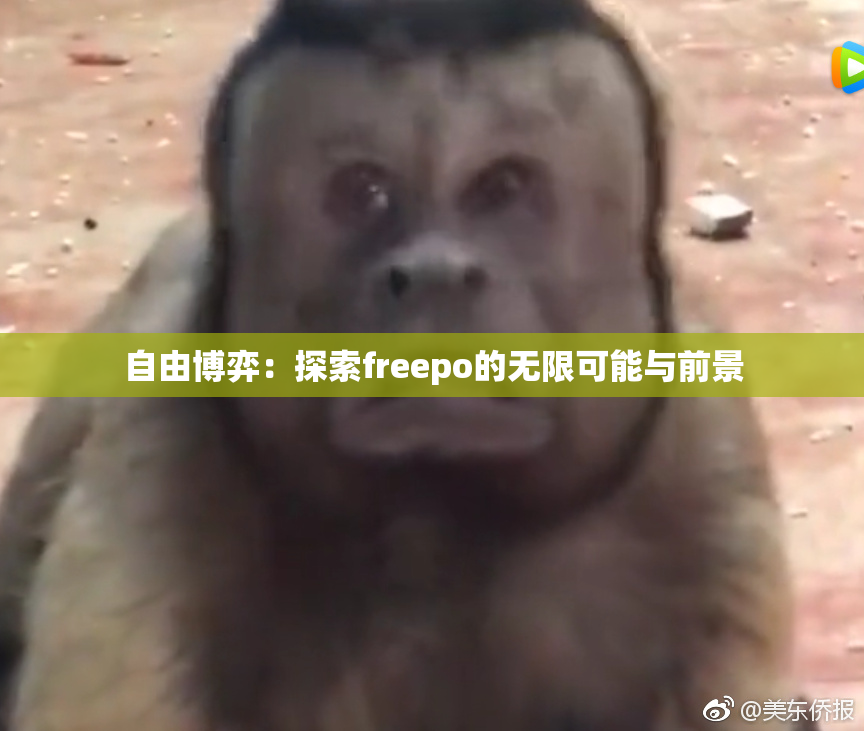 自由博弈：探索freepo的无限可能与前景