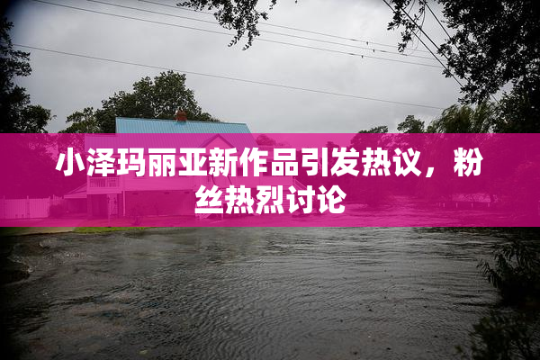 小泽玛丽亚新作品引发热议，粉丝热烈讨论