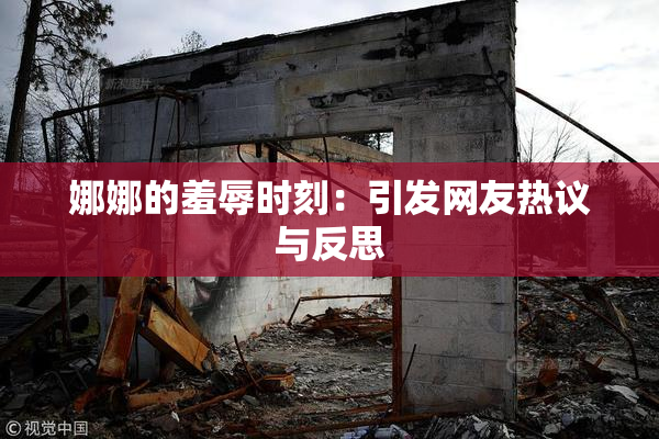 娜娜的羞辱时刻：引发网友热议与反思