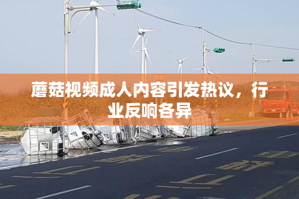 蘑菇视频成人内容引发热议，行业反响各异