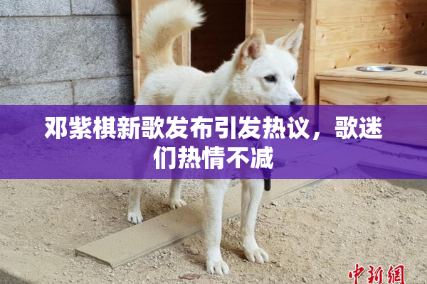 邓紫棋新歌发布引发热议，歌迷们热情不减