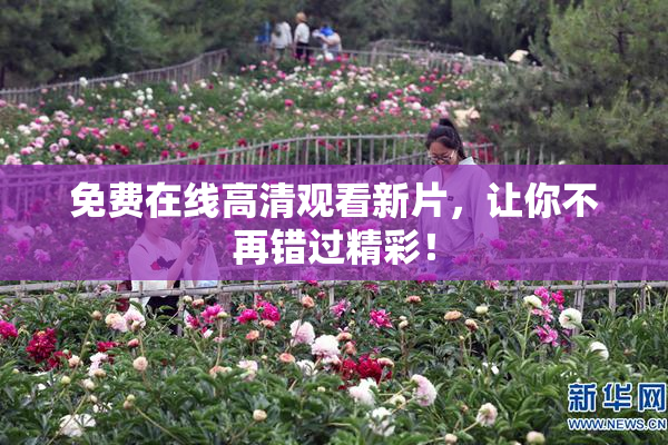 免费在线高清观看新片，让你不再错过精彩！