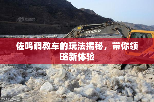 佐鸣调教车的玩法揭秘，带你领略新体验