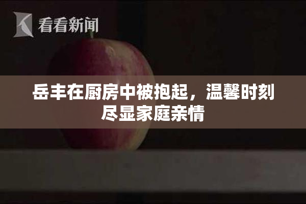 岳丰在厨房中被抱起，温馨时刻尽显家庭亲情