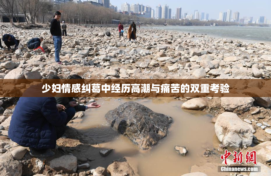 少妇情感纠葛中经历高潮与痛苦的双重考验