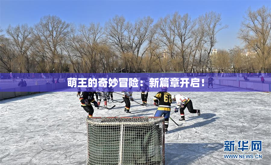 萌王的奇妙冒险：新篇章开启！