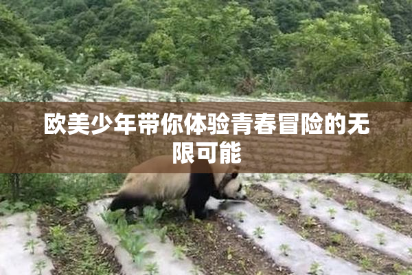 欧美少年带你体验青春冒险的无限可能