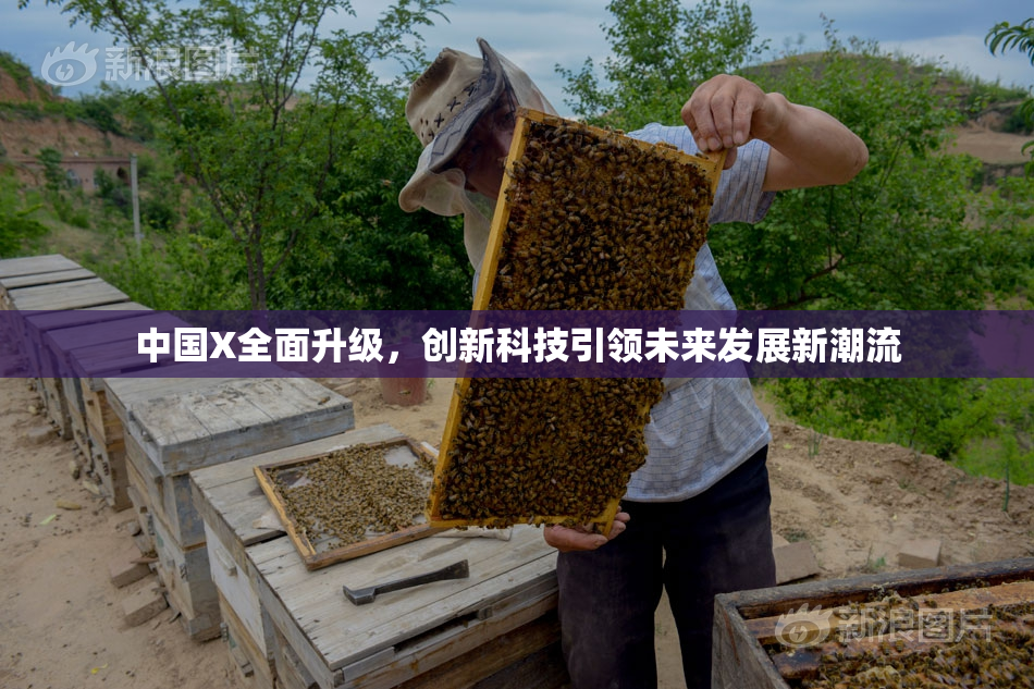 中国X全面升级，创新科技引领未来发展新潮流