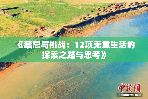 《禁忌与挑战：12项无重生活的探索之路与思考》