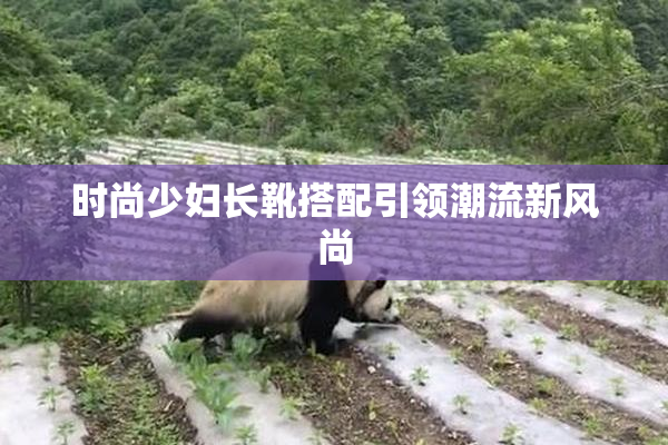 时尚少妇长靴搭配引领潮流新风尚