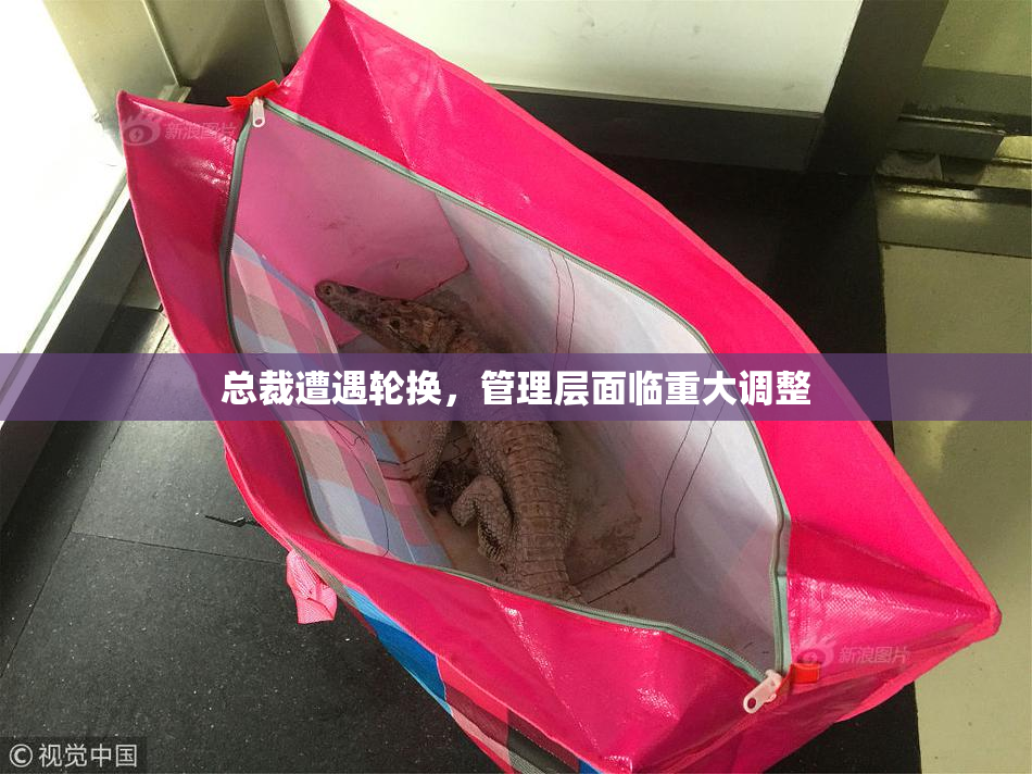 总裁遭遇轮换，管理层面临重大调整