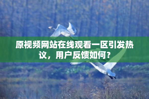 原视频网站在线观看一区引发热议，用户反馈如何？