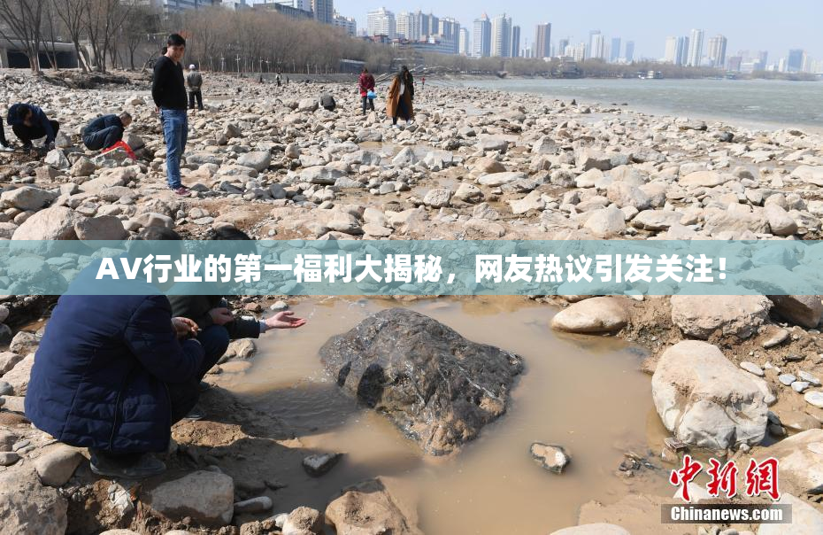 AV行业的第一福利大揭秘，网友热议引发关注！