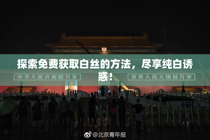探索免费获取白丝的方法，尽享纯白诱惑！