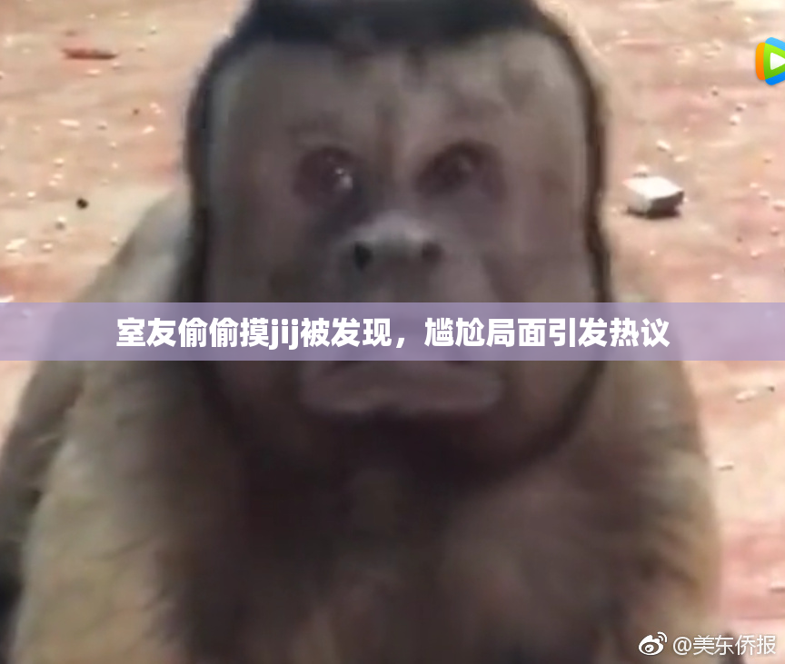 室友偷偷摸jij被发现，尴尬局面引发热议