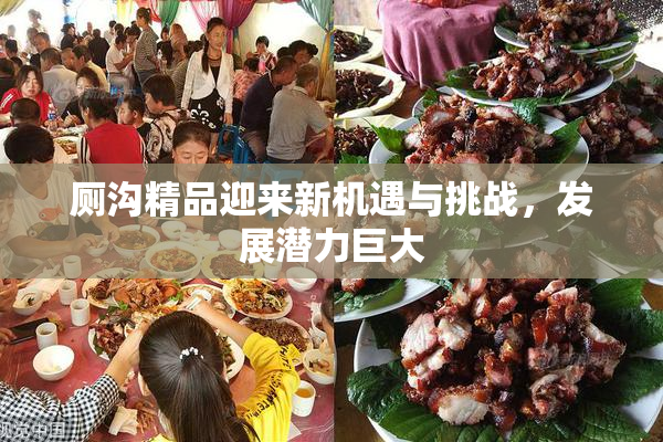 厕沟精品迎来新机遇与挑战，发展潜力巨大
