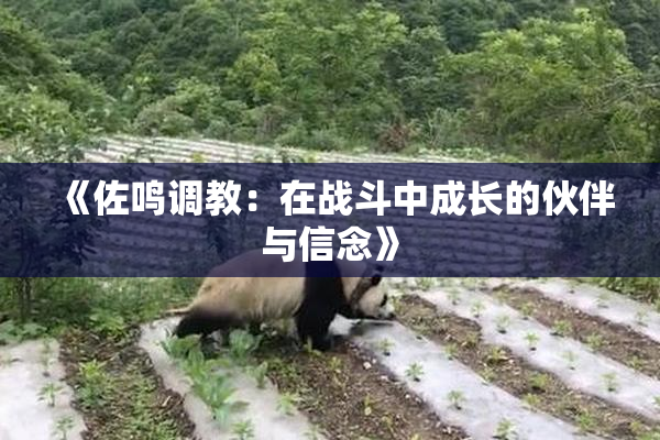 《佐鸣调教：在战斗中成长的伙伴与信念》