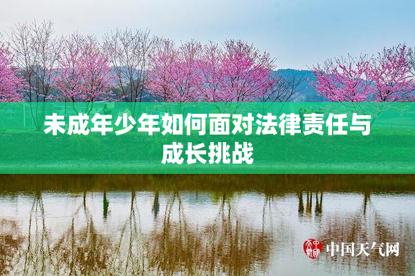 未成年少年如何面对法律责任与成长挑战
